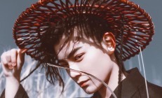 开云体育官方网站-跨界狂澜，灰熊铁血启示录与武切维奇的国际赛场霸权