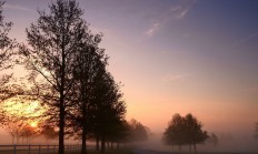 开云APP-丹佛之巅，约基奇在总决赛之夜重新定义伟大