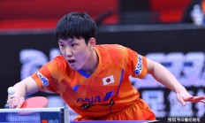 开云体育直播-关于瑞典队绝杀葡萄牙队，张本智和状态火热的信息