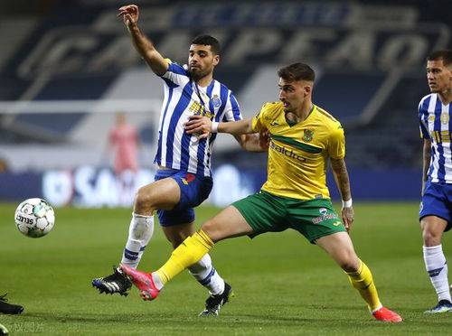 关于土耳其取得胜利，晋级形势一片光明的信息