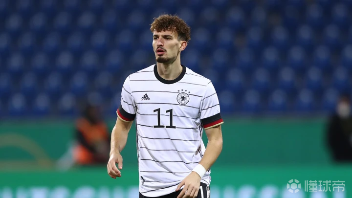 霍芬海姆签下意大利国脚，实力大增的简单介绍