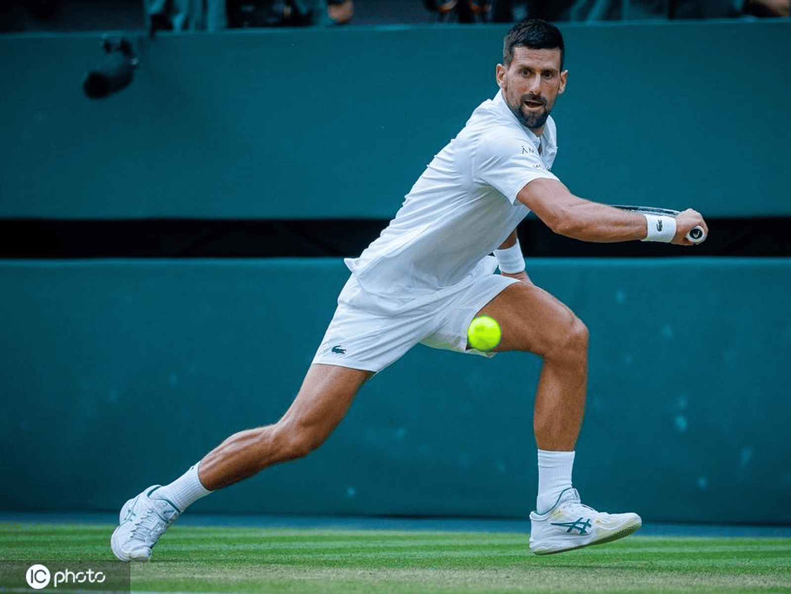 年终总决赛翻盘澳网,德约科维奇状态火热 年终总决赛翻盘澳网,德约科维奇状态火热