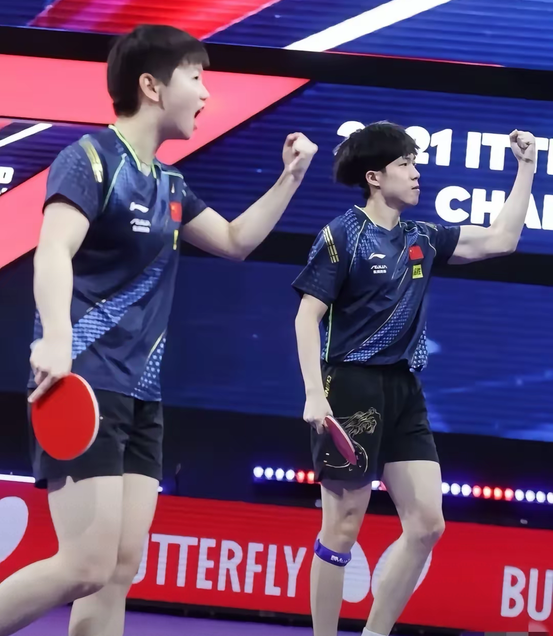 中国乒乓球队轻取比利时乒乓球队，波尔统治全场的简单介绍