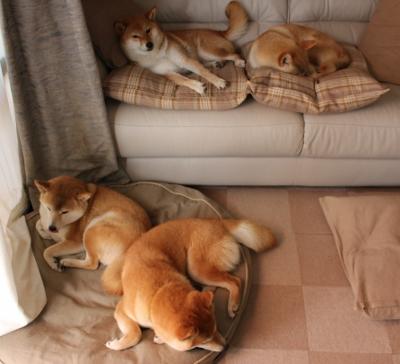 跨界生死战，当西决焦点碰撞尼日利亚速胜AC米兰的奇幻隐喻